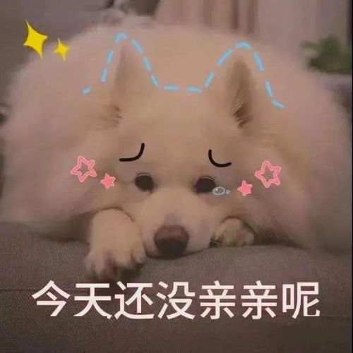 表情包你的存在即之我所爱
