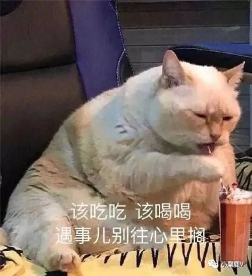 表情包我睡了,晚安