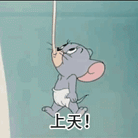 夏天结束了,但我还是想把这些照片送给你