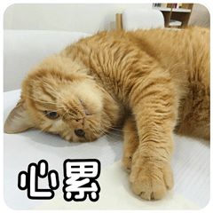 小时候跟妈妈逛街时的你