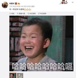 鹿晗发民国表情包被骂没脑子,那么大量网民用着黑图又该如何