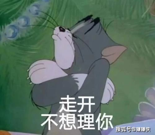 超搞笑的表情包图片没有你