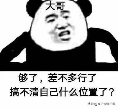 搞笑段子小偷抢了个女式包,看到夹层遥控器,顺手一按