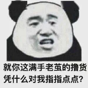 搞笑熊猫表情包沙雕