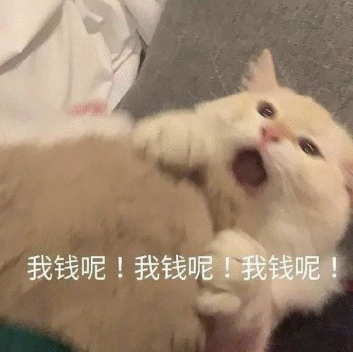 有那些沙雕又可爱的朋友圈文案
