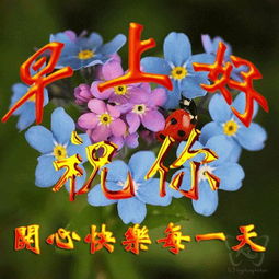 2018最火最美早上好问候动态表情包早安问安语动图