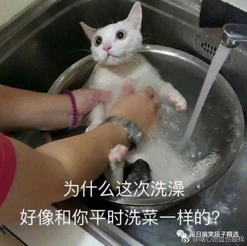 搞笑段子来了你有没有想过一件事