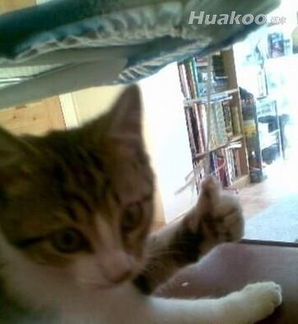 狂猛霹雳图小心慎入啊