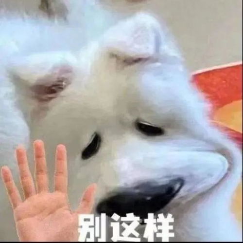 喜羊羊表情包