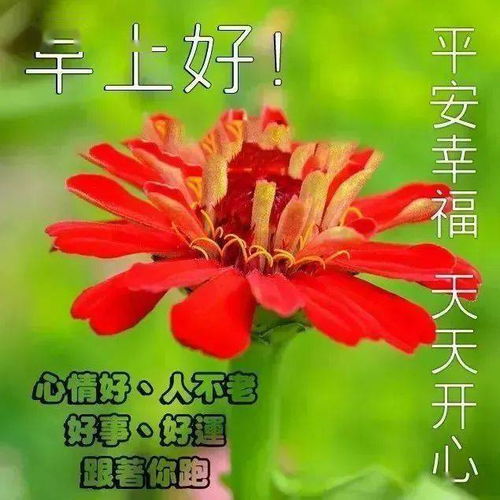 3月23日周二微信早上好表情包精选,早晨动态表情图片大全