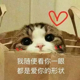20岁左右的女生该怎样选择适合自己的护肤品