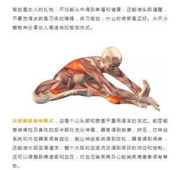女人40岁就绝经,教你1个瑜伽动作留住年轻......