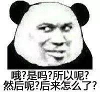 表情包还是沙雕熊猫头好使
