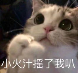 搞笑表情包配文表情