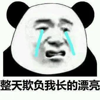 熊猫头表情包i你很过分你知道吗