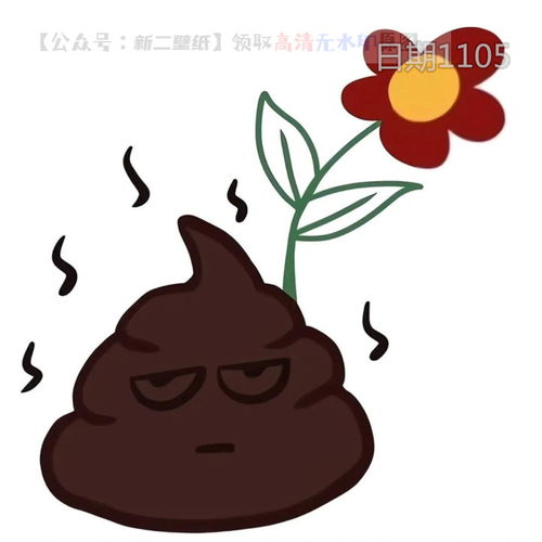 一朵鲜花插在牛粪上情头情侣头像图片抖音热门