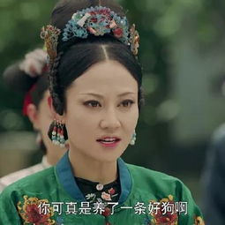 延禧攻略尔晴欺人太甚搞笑gif表情包大全