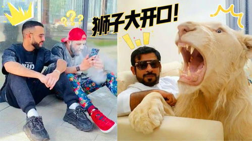 盘点国外幽默搞笑视频,每天一笑天天好心情