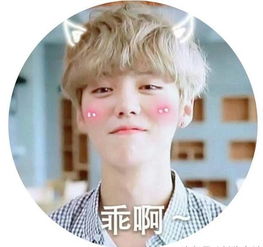 鹿晗与迪丽热巴的情侣头像,果然还是陆地夫妇配