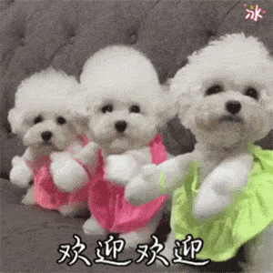 100个沙雕有趣的搞笑表情包