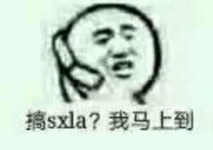 打电话报警表情包