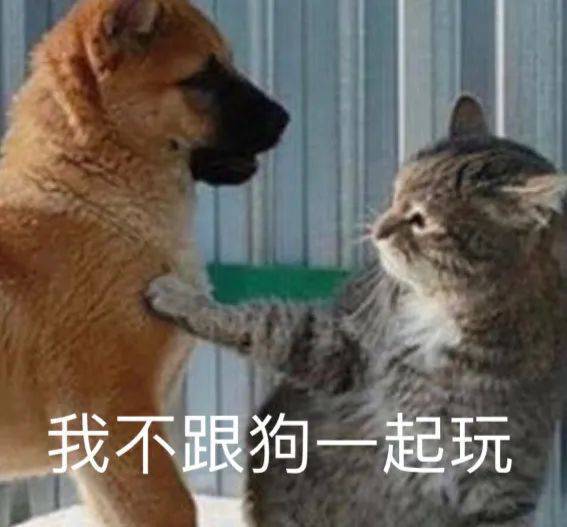 搞笑gif大哥,别切了,兰州拉面不会要你的