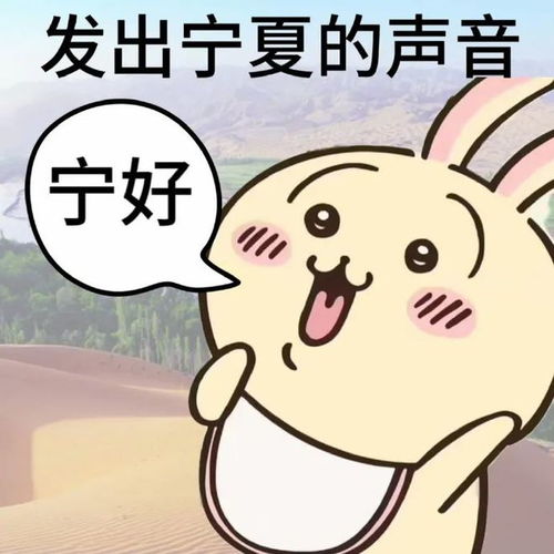 超搞笑的表情包发出了来自五湖四海的声音