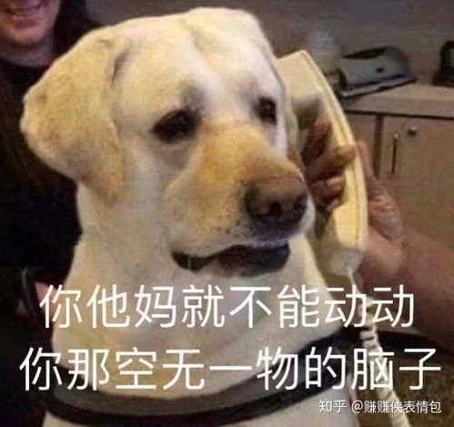 搞笑表情包图片你在不笑,臣妾可要憋死了