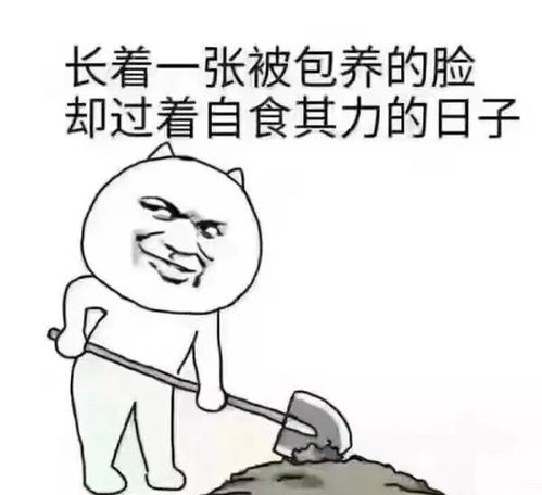 幽默时刻小龙女说只要过儿想做,我听你的就是