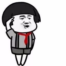 抖音升旗表情包app下载抖音升旗表情包全套高清完整版app下载v1.0嗨客手机站