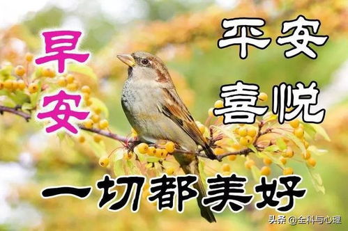 时间会飘远,岁月会流失,记忆会定格,美好会永存
