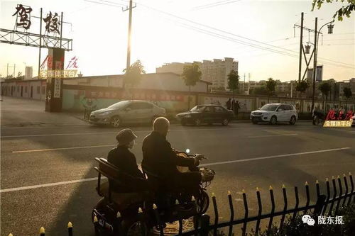 图说七夕这条微信有毒,单身汪慎点