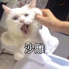 表情sir5.23