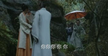 知否同是撞破私情,盛纮土拨鼠叫,长柏表情包,搞笑一家人