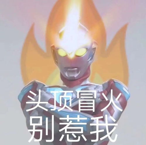 沙雕表情包放心吧,交给我一定会搞砸的