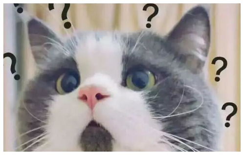 搞笑段子担惊受怕的情人节终于过去了,昨天我整天都在惶恐