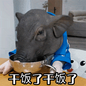 沙雕可爱表情包
