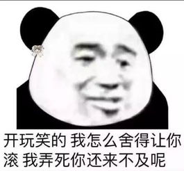 熊猫头套路表情包我要睡了,你要给我说晚安