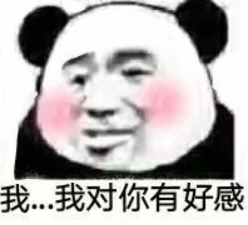 幽默搞笑表情包小哥哥聊天吗我偷我老公钱养你