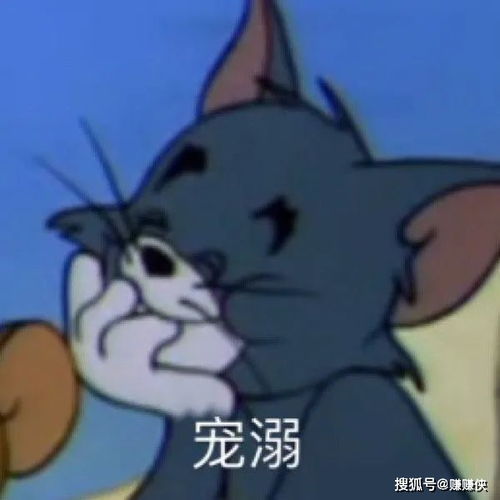 搞笑表情包图片狗狗祟祟,我不吃,我就看看