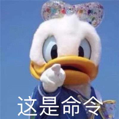 搞笑表情包合集就算肖邦也谈不出我的悲伤