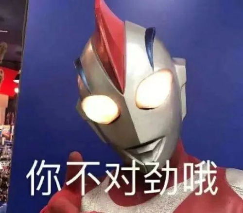 曲靖两男子自导自演,把自己送进大牢...