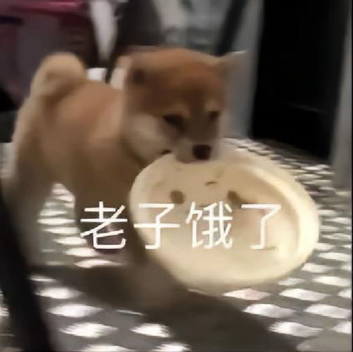 e句话看天下制止男童进女厕的女子终于得到道歉