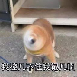 我控几不住我记几啊