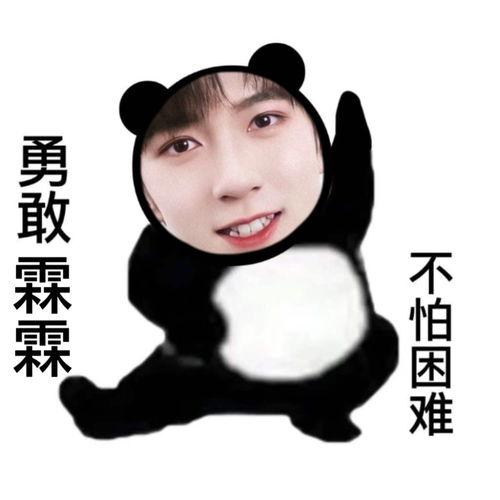 勇敢时代少年团,不怕困难表情包大赏