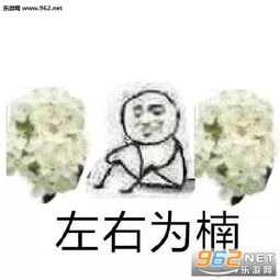 送你两把石楠花表情包石楠花系列表情包下载乐游网游戏下载