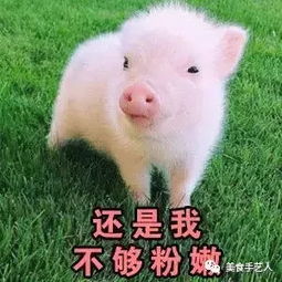 难道是我不够粉嫩,不可爱了嘛,你居然这样对我..