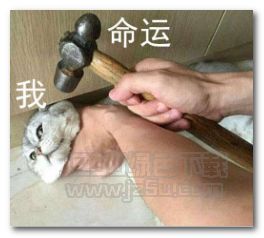 考试与我表情图片考试与我表情包完整版jz5u绿色下载站