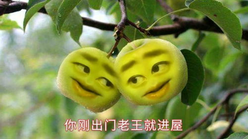 搞笑歌曲嘴巴嘟嘟改编版,水果的表情太搞笑了