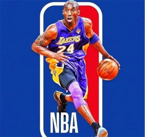 如果要评选nba篮球图腾,这5人将无争议入选
